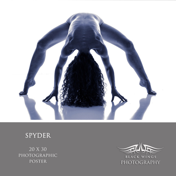 SPYDER - Picture 1 of 2